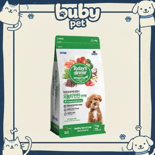 Thức ăn hạt Today cho chó mọi lứa tuổi – hạt khô dinh dưỡng, dễ tiêu hóa