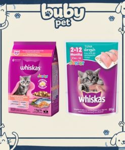 Whiskas mèo con vị cá ngừ & cá hồi – thức ăn hạt dinh dưỡng cho mèo con 2–12 tháng